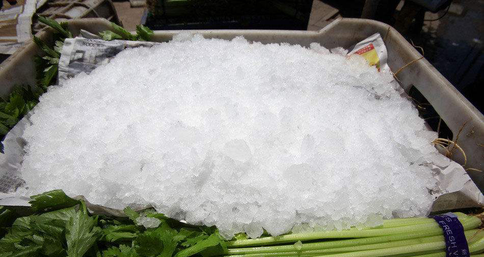 100公斤雪花制冰機蔬菜降溫保鮮用