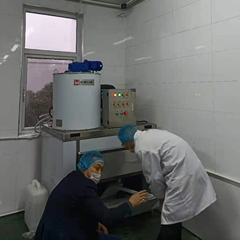 1噸鱗片制冰機交付浙江嘉興某食品加工廠